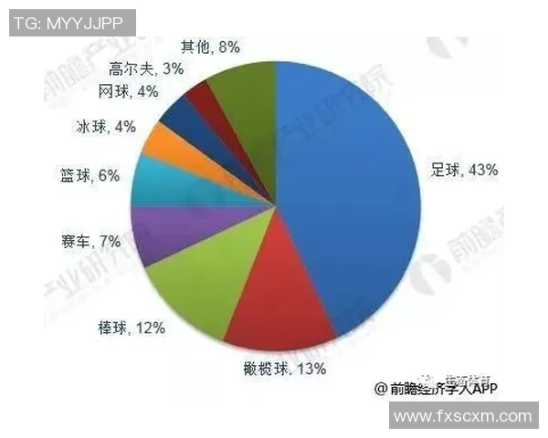 韩国足球明星的崛起与影响力分析及未来发展展望