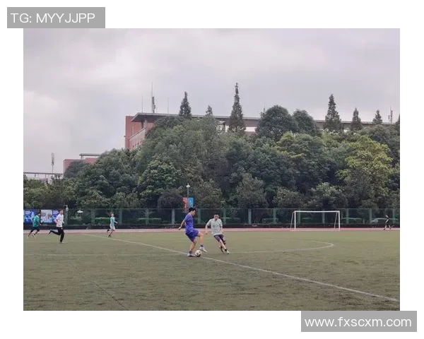 成都足球队荣登足球节奏排行榜第一名引发热议